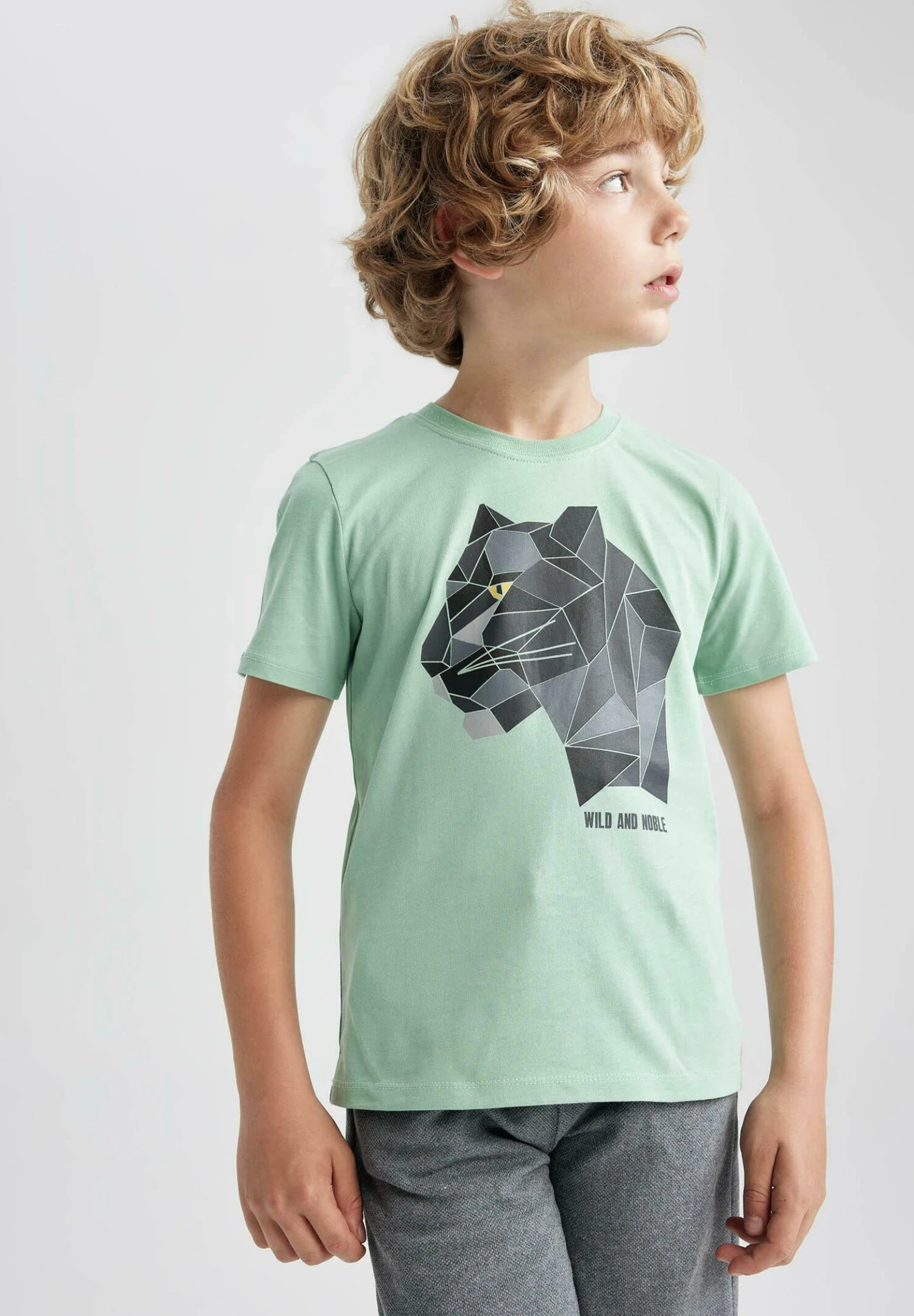 DeFacto Set Regular Fit - Shorts - Green 5 DeFacto Set Regular Fit - Shorts - Green - Afbeelding 3