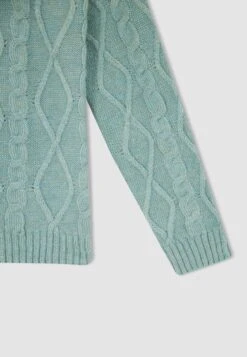 DeFacto Regular Fit - Trui - Turquoise 9 DeFacto Regular Fit - Trui - Turquoise -DeFacto 01deccbbd91c46959d7d8972c1765d31