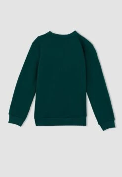 DeFacto Regular Fit- Sweater - Green 6 DeFacto Regular Fit- Sweater - Green -DeFacto 05108153df394231a59f4e2de1ce3138