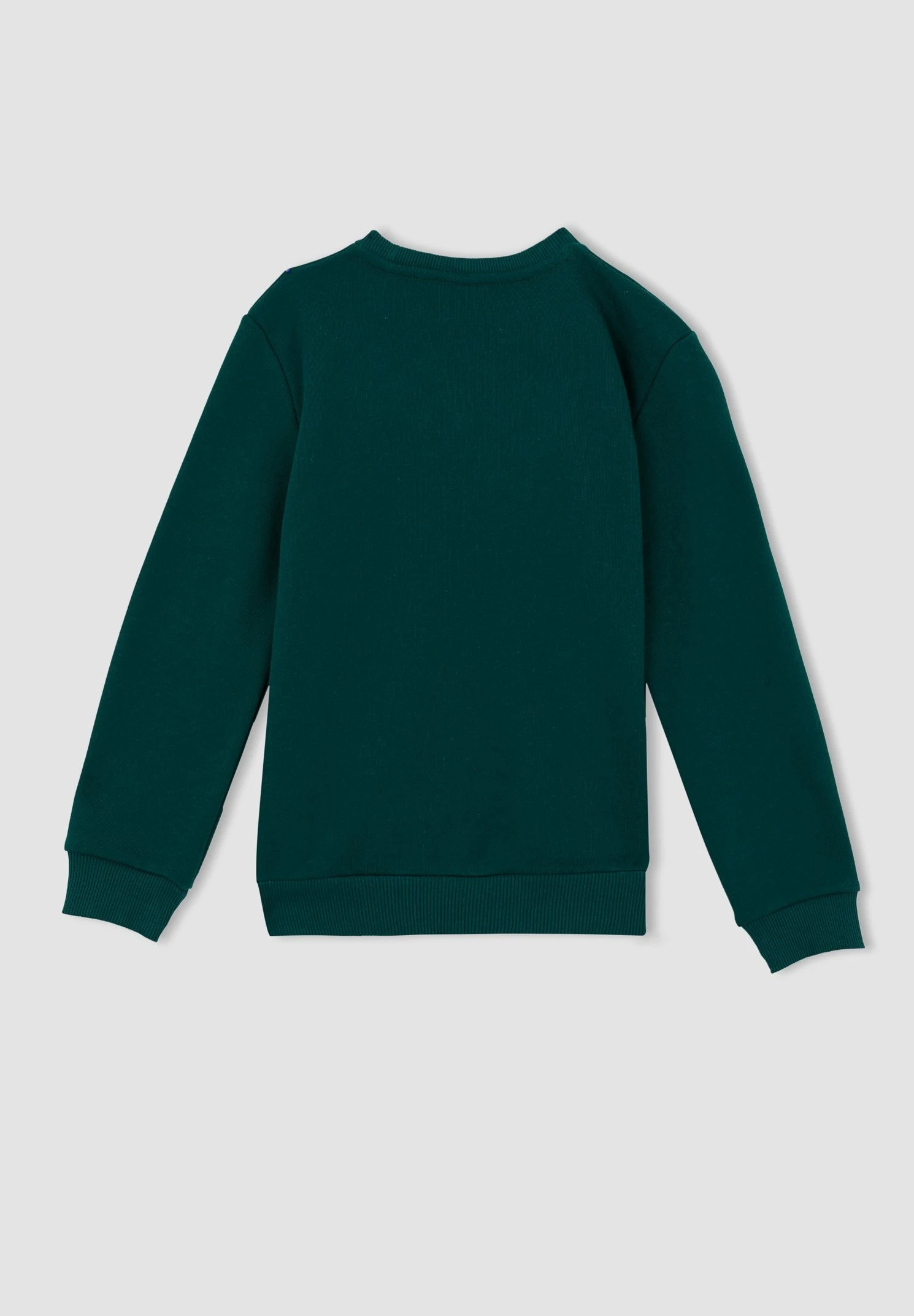DeFacto Regular Fit- Sweater - Green 4 DeFacto Regular Fit- Sweater - Green - Afbeelding 2