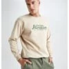 DeFacto Discovery Adventures - Sweater - Beige 2 DeFacto Discovery Adventures - Sweater - Beige -DeFacto 0ae4cf8fa86e4189bb01af76897fdb5f