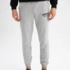 DeFacto Regular Fit- Trainingsbroek - Grey 1 DeFacto Regular Fit- Trainingsbroek - Grey -DeFacto 0c0db79357e847b4ab3ca6c87d6afdae