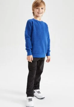 DeFacto Regular Fit - Sweater - Blue