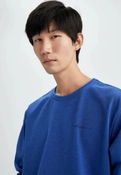 DeFacto Regular Fit - Sweater - Blue -DeFacto 0c25de751499407285fecd25877203f2