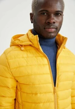 DeFacto Slim Fit - Winterjas - Yellow -DeFacto 0c737dd0c26b43dc98df0a808ba191ab