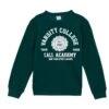 DeFacto Regular Fit- Sweater - Green -DeFacto 0d5207e8faaa49a18d72bf6b5d3969ef