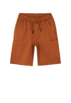 DeFacto Regular Fit - Shorts - Brown