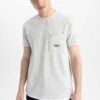 DeFacto Regular Fit- T-Shirt Print - Grey 1 DeFacto Regular Fit- T-Shirt Print - Grey -DeFacto 15baffa1f69c41dc8575c8ca20cfc5c2