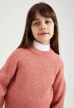 DeFacto Regular Fit - Trui - Bordeaux 12 DeFacto Regular Fit - Trui - Bordeaux -DeFacto 173f3da1565c41a79b070c9d30f8e09b