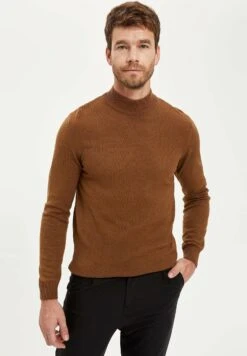 DeFacto Slim Fit - Trui - Brown