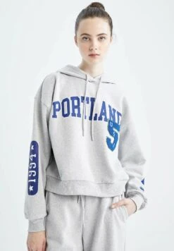 DeFacto Regular Fit- Hoodie - Grey