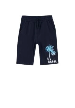 DeFacto Regular Fit - Shorts - Navy