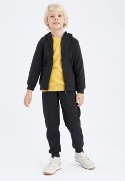 DeFacto Regular Fit- Hoodie - Anthracite