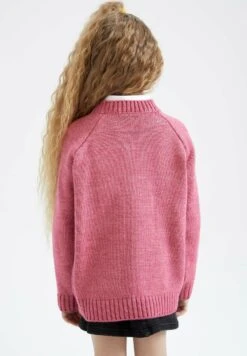 DeFacto Trui - Pink 7 DeFacto Trui - Pink -DeFacto 39a178d314864c8994657eb3902fe558