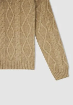 DeFacto Regular Fit - Trui - Beige -DeFacto 39ba87646c9a4075aa7ffcb262b161bb