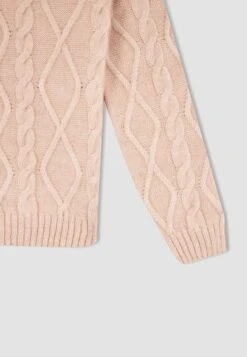 DeFacto Regular Fit - Trui - Bordeaux 9 DeFacto Regular Fit - Trui - Bordeaux -DeFacto 403b8b6d0612462681ace9fc40e2e823