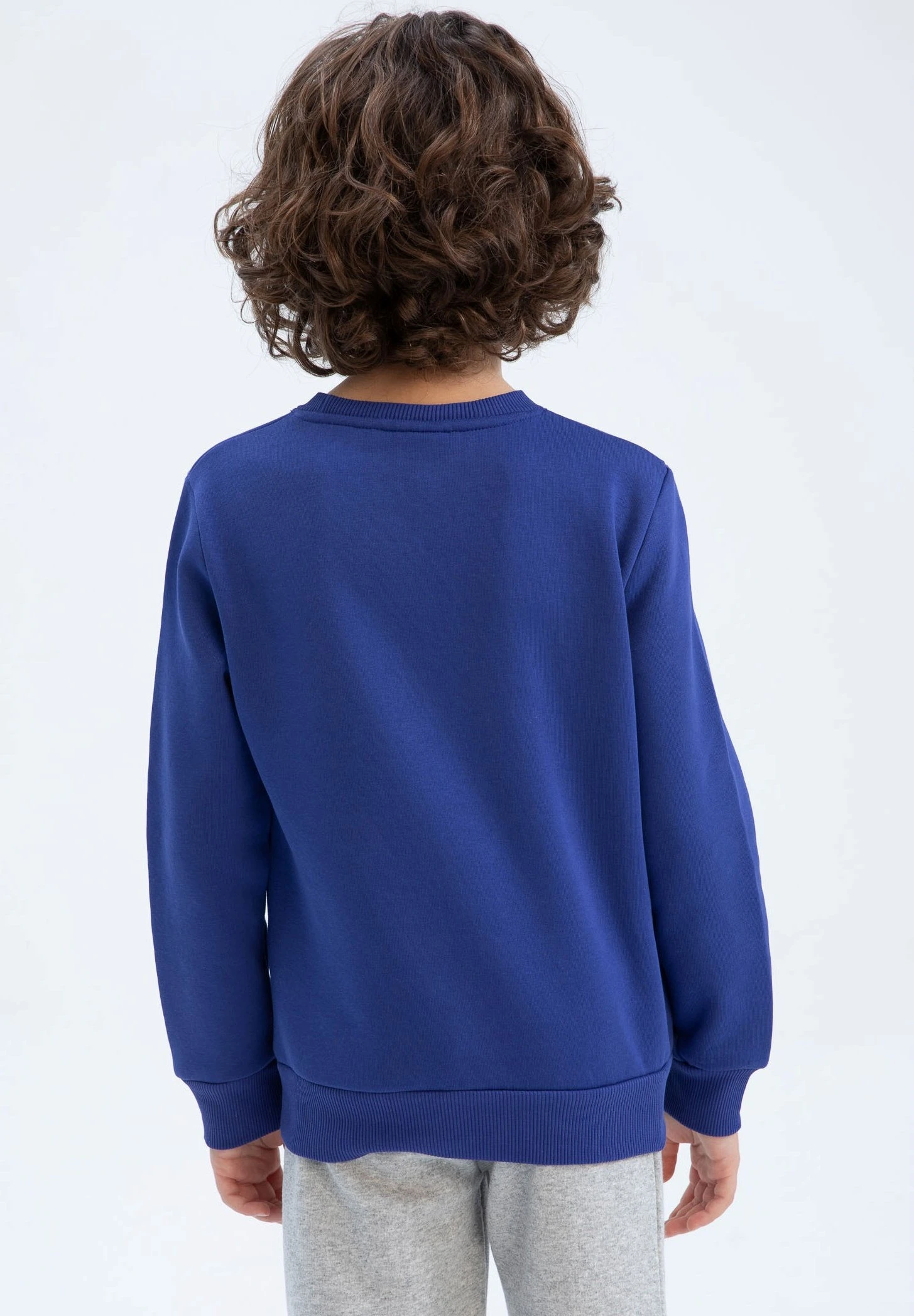 DeFacto Regular Fit- Sweater - Blue 5 DeFacto Regular Fit- Sweater - Blue - Afbeelding 3