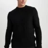 DeFacto Standart Fit - Trui - Black 1 DeFacto Standart Fit - Trui - Black -DeFacto 516a1ca3609242ec842620ec0acc221d