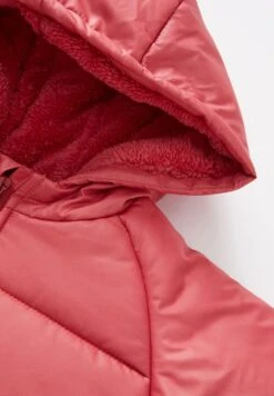 DeFacto Regular Fit- Winterjas - Pink 7 DeFacto Regular Fit- Winterjas - Pink -DeFacto 521afa6df183403498afeb82175273a9