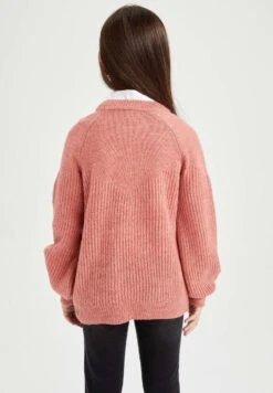 DeFacto Regular Fit - Trui - Bordeaux 11 DeFacto Regular Fit - Trui - Bordeaux -DeFacto 6046c5282ae44cb2982df3156e82a5ff