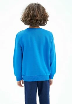 DeFacto Regular Fit- Sweater - Blue -DeFacto 72ae4e7c327c448686cd4bc2c70d8f83