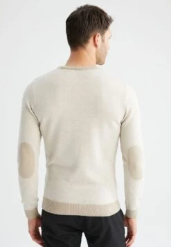 DeFacto Slim Fit - Trui - Beige 7 DeFacto Slim Fit - Trui - Beige -DeFacto 7781d34cf88742548ea07295ae5db133