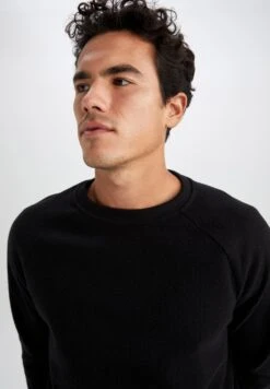 DeFacto Regular Fit - Sweater - Black 9 DeFacto Regular Fit - Sweater - Black -DeFacto 798b61eb9056479fb70de6e9e443fb9a