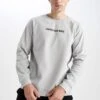 DeFacto Standart Fit - Sweater - Grey -DeFacto 81a96888fc624c498f6be44e1b715811