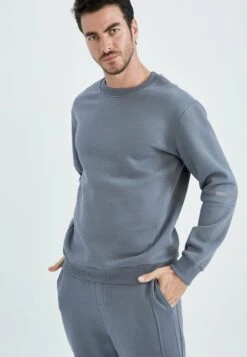 DeFacto Standart Fit - Sweater - Grey