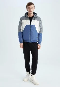 DeFacto Slim Fit - Winterjas - Grey 7 DeFacto Slim Fit - Winterjas - Grey -DeFacto 87a977f538fb4990a2a534a7a3736b86