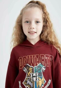 DeFacto Harry Potter - Hoodie - Bordeaux 9 DeFacto Harry Potter - Hoodie - Bordeaux -DeFacto 88a227087ee944a586965fe713e0fc3e