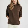 DeFacto Hoodie - Brown 2 DeFacto Hoodie - Brown -DeFacto 8c28e981ae6f4ab1860929c6c69ca975