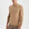 DeFacto Regular Fit - Trui - Beige -DeFacto 8cad33c70b3740f690591ffd0eef5981
