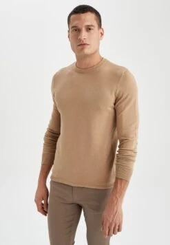 DeFacto Regular Fit - Trui - Beige