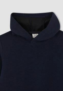 DeFacto Regular Fit - Hoodie - Navy -DeFacto 93f68c1346e8471c92f049caec2418a6