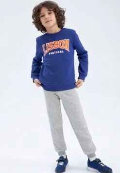 DeFacto Regular Fit- Sweater - Blue