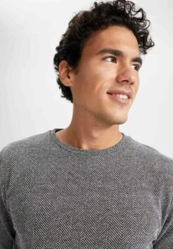 DeFacto Regular Fit- Sweater - Anthracite 9 DeFacto Regular Fit- Sweater - Anthracite -DeFacto 9dc0c634fc1446a09b24d5f54c867846