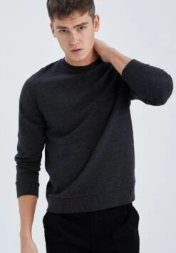 DeFacto Regular Fit - Sweater - Anthracite -DeFacto 9ebc9a380aa44827a763e91d5be2c4ce