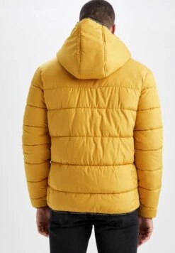 DeFacto Regular Fit- Winterjas - Yellow 9 DeFacto Regular Fit- Winterjas - Yellow -DeFacto a19ba287d96b4102b83fda04f6791c16