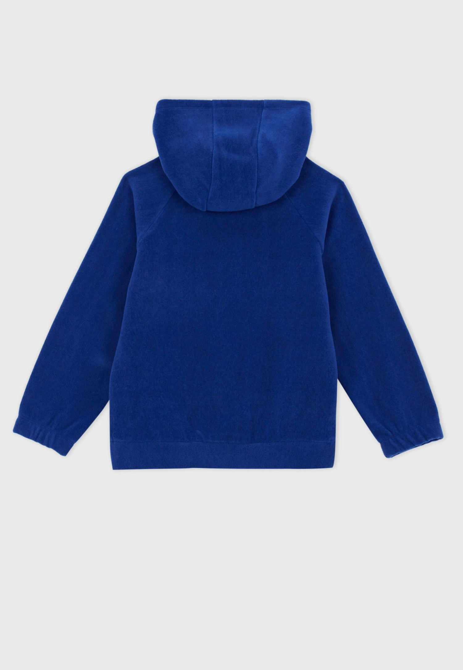 DeFacto Regular Fit - Hoodie - Blue 4 DeFacto Regular Fit - Hoodie - Blue - Afbeelding 2
