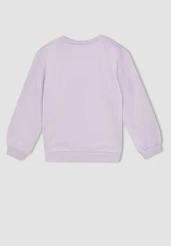 DeFacto Regular Fit - Sweater - Purple -DeFacto b0227da88a344e90a49bb5fce8776e7e