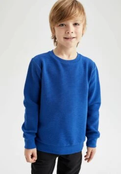 DeFacto Regular Fit - Sweater - Blue 6 DeFacto Regular Fit - Sweater - Blue -DeFacto b0c2fca6ad744361b1743e4bca840ad8