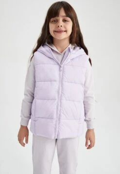 DeFacto Regular Fit- Bodywarmer - Purple 6 DeFacto Regular Fit- Bodywarmer - Purple -DeFacto b4fb9c3cd24a419c91a096502aa67fbe