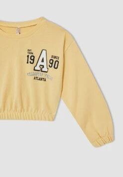 DeFacto Regular Fit- Sweater - Beige -DeFacto b6dd36526fec45e686e1971bab7e8073