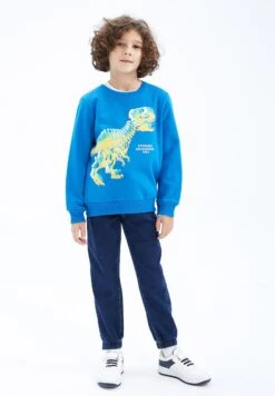 DeFacto Regular Fit- Sweater - Blue