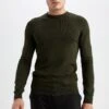 DeFacto Regular Fit - Trui - Green -DeFacto c35b270c13eb460aaa5cbbc7199f2915