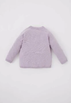 DeFacto Regular Fit- Vest - Purple -DeFacto c734b812aecd4976a9b818ba2ffe0b12