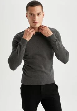 DeFacto Regular Fit - Trui - Anthracite