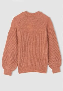 DeFacto Regular Fit - Trui - Bordeaux 15 DeFacto Regular Fit - Trui - Bordeaux -DeFacto c9ca030c62fb4a31a3a73fddaada3744