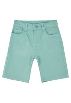 DeFacto Regular Fit- Shorts - Turquoise